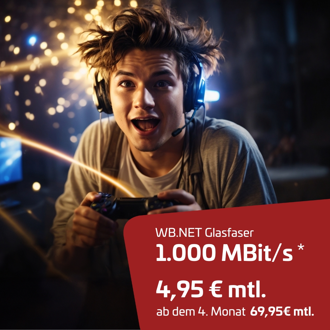 WB.NET Glasfaser 1.000