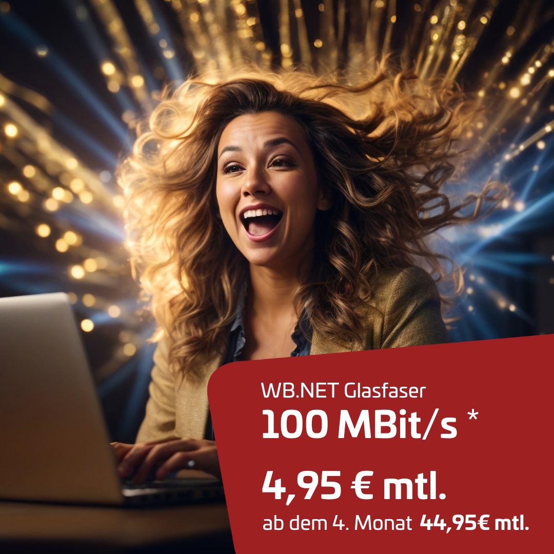 WB.NET Glasfaser 100