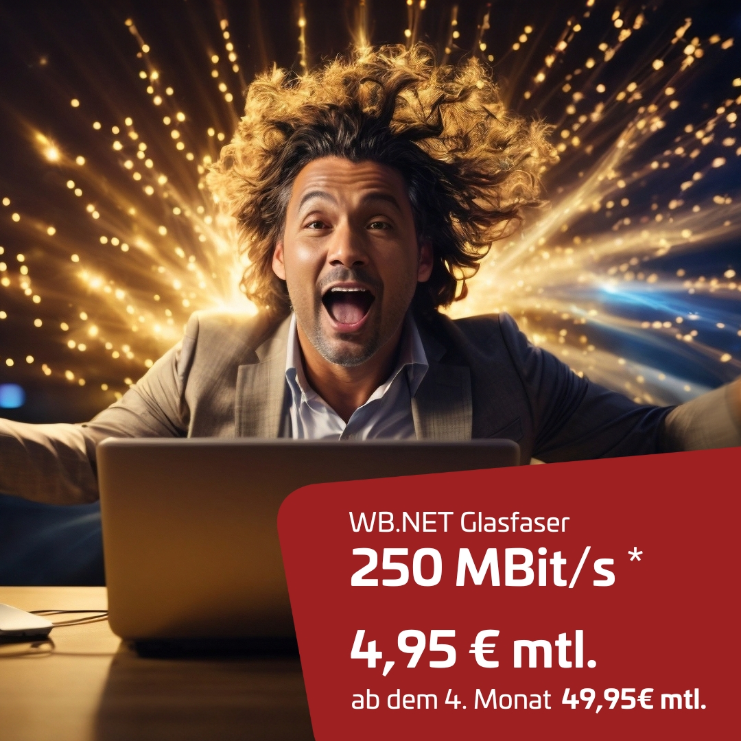 WB.NET Glasfaser 250